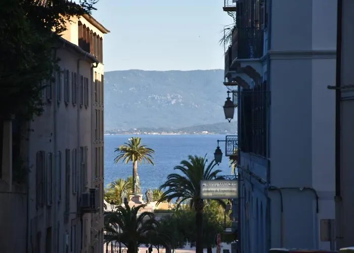 Apartament Plein De Charme - Hyper Centre Ajaccio (Corsica)